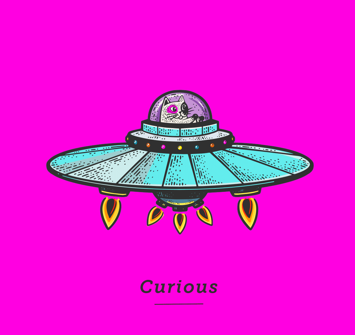 curious cat driving UFO - Values